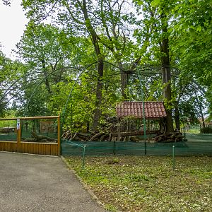 enclosure of peafowl