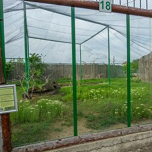 enclosure of roe deer