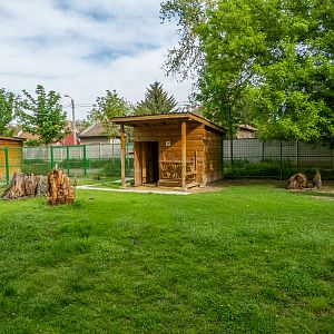 enclosure of red-necked wallaby