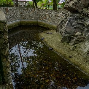 enclosure of turtles