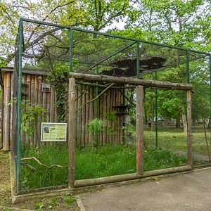 enclosure of ural owl
