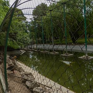 enclosure of water fowl