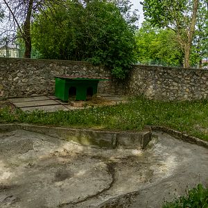 enclosure of capybara
