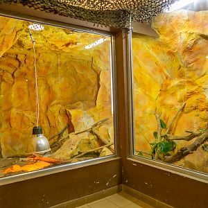 enclosure of anaconda