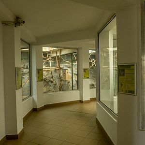 house of monkeys and parrots