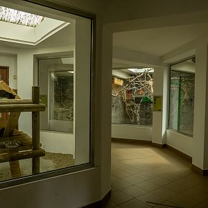 house of monkeys and parrots