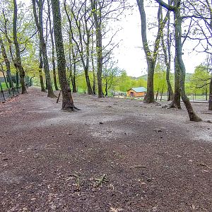 enclosure of donkeys