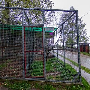 enclosure of raptors