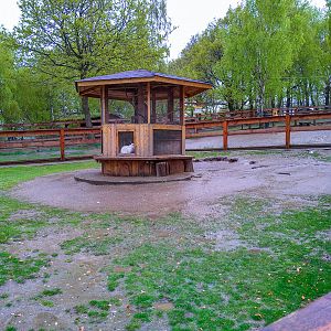 enclosure of bunnies