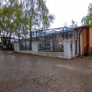 enclosure of ring-tailed lemurs
