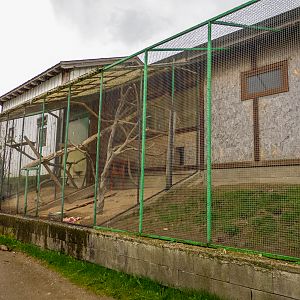 enclosure of raccoon #1