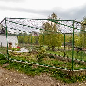 enclosure of raccoon #2