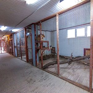 bird house plus exotic animals