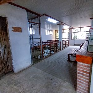 bird house plus exotic animals (and bunnies)