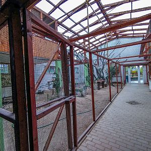 bird house plus exotic animals