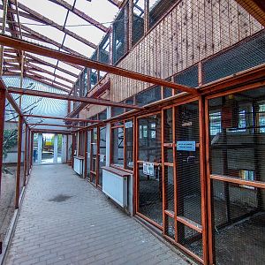 bird house plus exotic animals