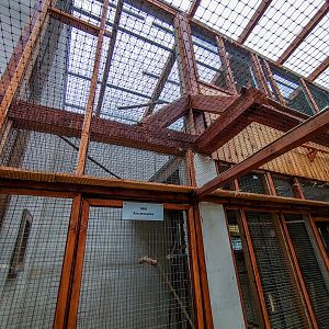 bird house plus exotic animals