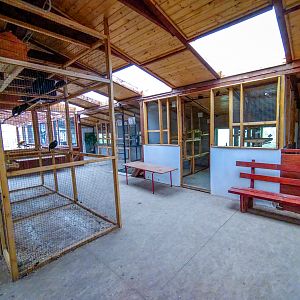 bird house plus exotic animals