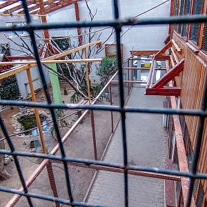 bird house plus exotic animals