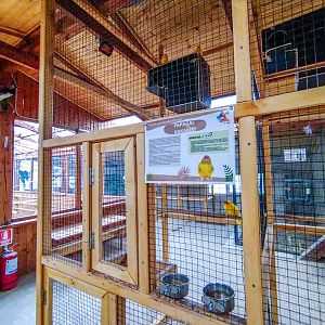 bird house plus exotic animals