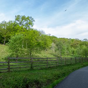 park / enclosure of European bison