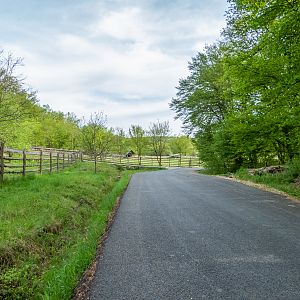 park / enclosure of European bison