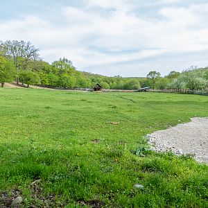 park / enclosure of European bison