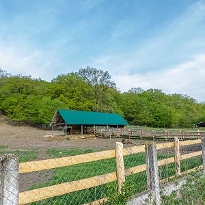 park / enclosure of European bison