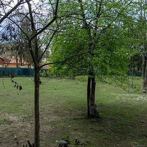 enclosure of rendeer