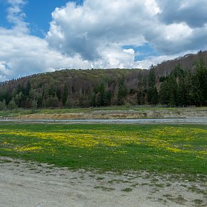 enclosure of european bison