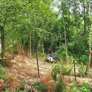 Construction site for new South American primate and bush dog area - Future expanded bush dog exhibit?, 2023-07-18