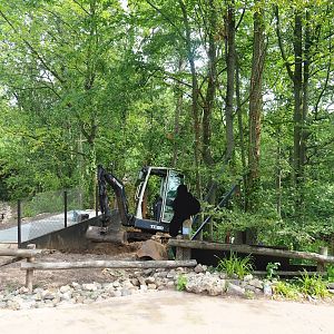 Construction site for new South American primate and bush dog area - New access road and viewing area?, 2023-07-18