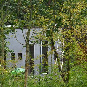 New Black howler monkey and Mantled tamarin house, seen behind the former red river hog exhibit, 2023-07-18
