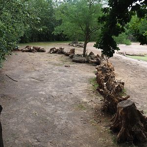 Demarcated separation area for red river hogs in the Southern white rhinoceros paddocks, 2023-07-18