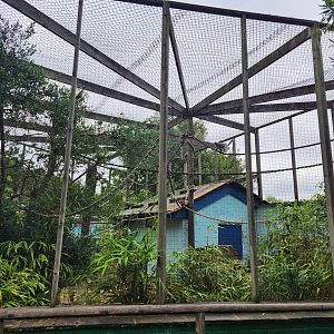 Battersea Zoo - Lemur enclosure