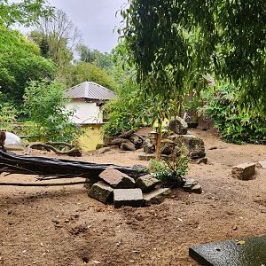 Battersea Zoo - Meerkat exhibit