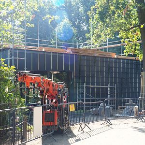 Construction of new Sulawesi crested macaque house, 2023-07-19