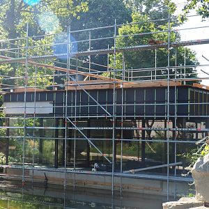 Construction of new Sulawesi crested macaque house, 2023-07-19