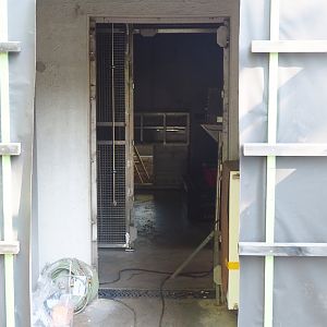 Construction of new Sulawesi crested macaque house, 2023-07-19