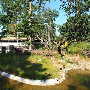 Soon-to-be new Sulawesi crested macaque island, 2023-07-19