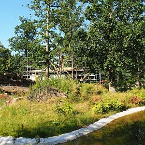 Soon-to-be new Sulawesi crested macaque island, 2023-07-19