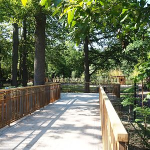 Viewing area for new Somali wild ass and Saharan Dorcas gazelle paddock, 2023-07-19