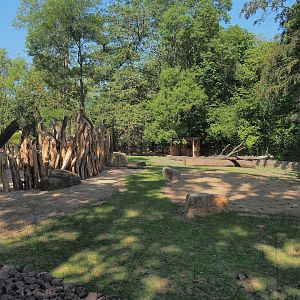 New Somali wild ass and Saharan Dorcas gazelle paddock, 2023-07-19