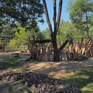 New Somali wild ass and Saharan Dorcas gazelle paddock, 2023-07-19