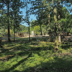 New Somali wild ass and Saharan Dorcas gazelle paddock, 2023-07-19