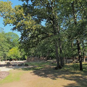 New Somali wild ass and Saharan Dorcas gazelle paddock, 2023-07-19