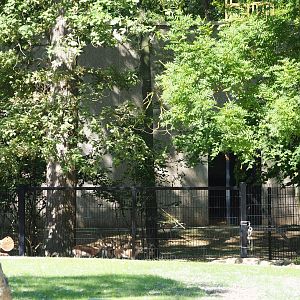 Saharan Dorcas gazelle separation paddock, 2023-07-19