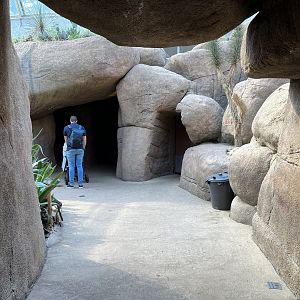 View coming into the Desert 6.7.23