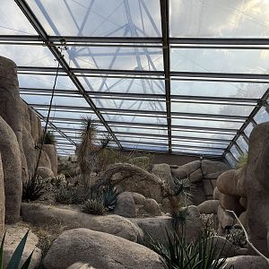 Desert- General view 6.7.23