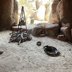 Desert- Rattlesnake and Gila monster enclosure 6.7.23